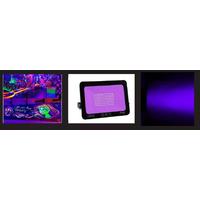 100W ULTRAVİYOLE UV LED PROJEKTÖR BOYA KURUTMALI